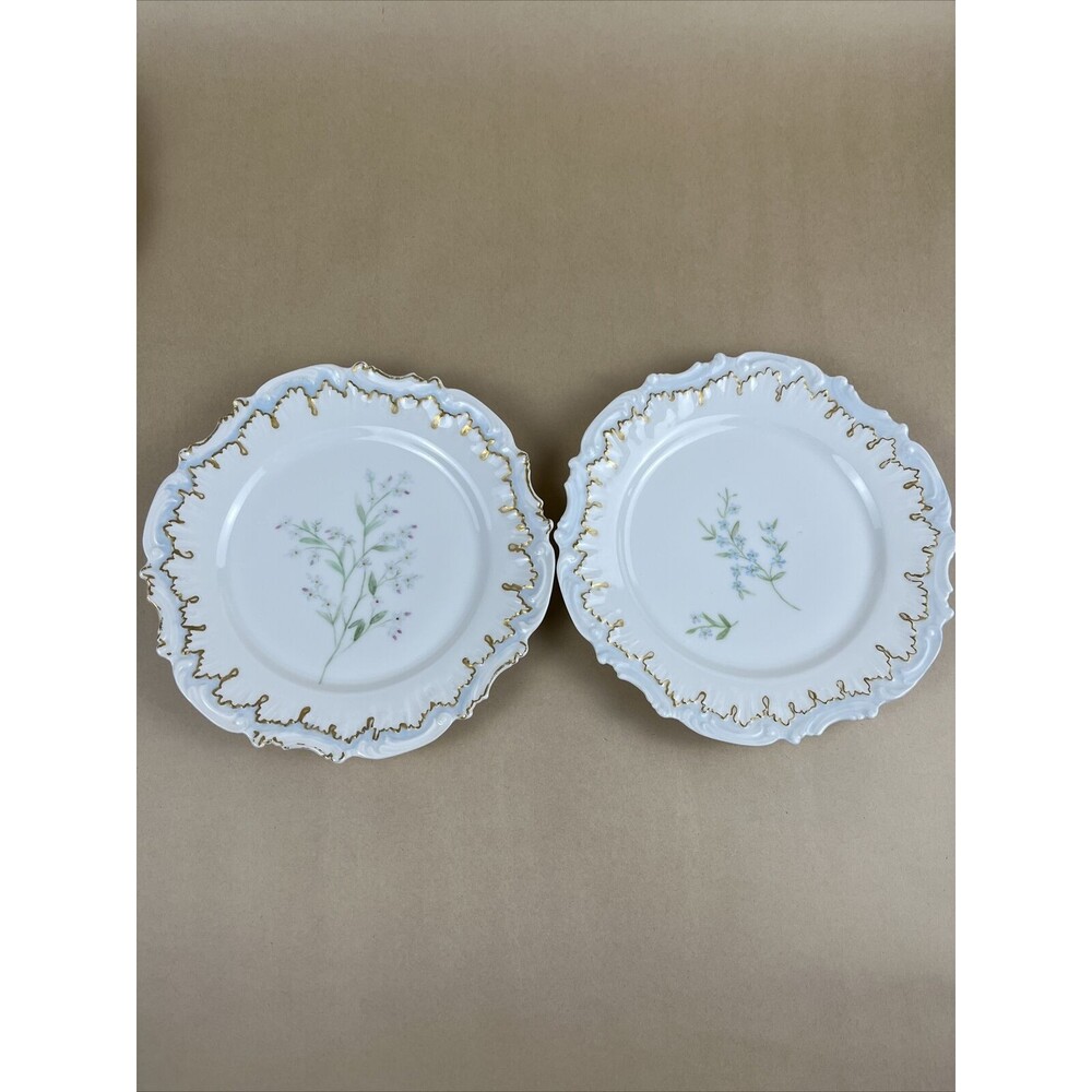 VTG Rare 2 Of Limoges Scalloped Hand Painted Floral Plate8.5" Golden Trim France